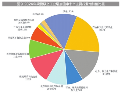 新疆有色金屬產(chǎn)業(yè)在2024年國民經(jīng)濟(jì)中的崛起與貢獻(xiàn)——基于統(tǒng)計(jì)公報(bào)的分析